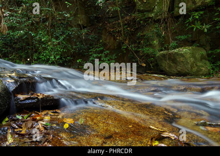 Piccolo ruscello nella foresta pluviale. Si fa quelle piccole ma molto belle cascate Foto Stock