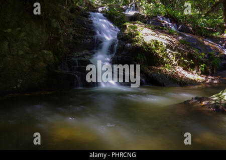 Piccolo ruscello nella foresta pluviale. Si fa quelle piccole ma molto belle cascate Foto Stock