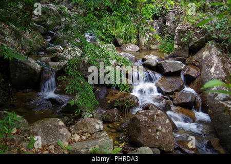Piccolo ruscello nella foresta pluviale. Si fa quelle piccole ma molto belle cascate Foto Stock