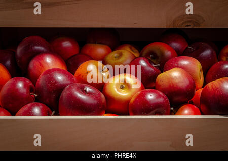 Le mele in una scatola di legno. bel rosso e giallo di frutta in scatola marrone. Foto Stock