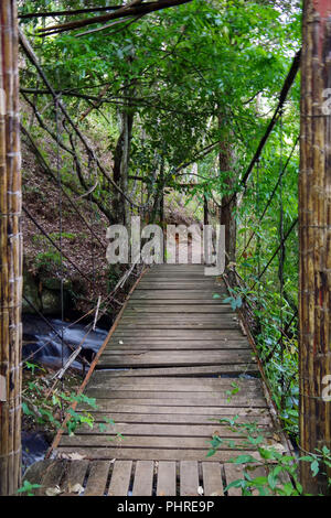 Piccolo ruscello nella foresta pluviale. Si fa quelle piccole ma molto belle cascate Foto Stock