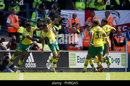 Norwich City's Moritz Leitner (seconda a sinistra) celebra il suo punteggio lato del primo obiettivo del gioco durante il cielo di scommessa match del campionato a Portman Road, Ipswich. Foto Stock