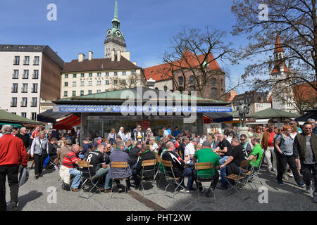 Kleiner Ochs'nbrater, Viktualienmakt, Monaco di Baviera, Deutschland Foto Stock