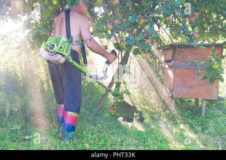 Lavoratore il taglio di erba in giardino con il trimmer di erbaccia Foto Stock