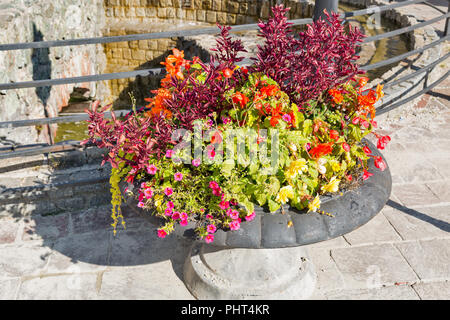 Metropolitana fiume piccola cascata e vaso di pietra con crescente street fiori closeup a Kosice Città Vecchia, Slovacchia. Foto Stock