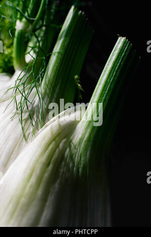 Close up foto macro di finocchio Foto Stock