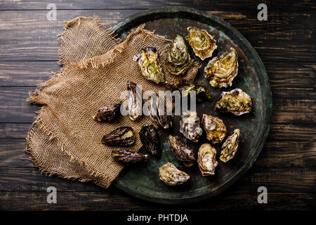 Un assortimento di ostriche fresche nel vassoio su sfondo scuro Foto Stock