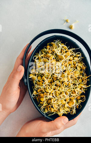 Una persona in possesso di una ciotola di lenticchie germogliato Foto Stock