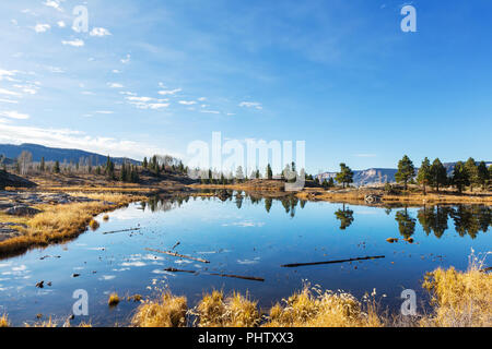 Autunno in Colorado Foto Stock