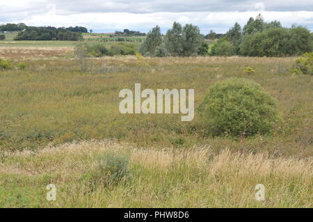 Cameron serbatoio vicino a St Andrews Fife, Scozia, Settembre 2018 Foto Stock