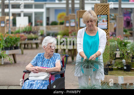 Signora anziana in una sedia a rotelle in un centro giardino si affaccia sulla sua figlia legge l'etichetta di un potted blue grass Foto Stock