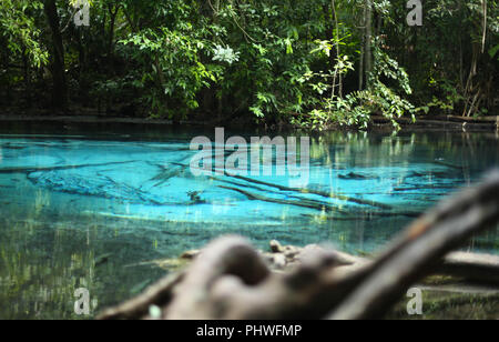 Invisibili Piscina Smeraldo individuare nella fitta foresta del parco nazionale di Krabi in Thailandia Foto Stock