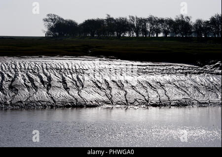 Basse rive fangate sul fiume Bladnoch presso la riserva naturale di Wigtown, il porto di Wigtown, sulla Solway, Dumfries e Galloway, Scozia. Foto Stock