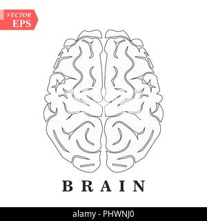 Cervello, mente o intelligenza line art icona per app e siti web Illustrazione Vettoriale