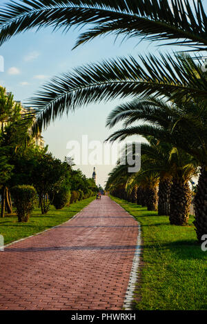 Batumi, Adjaria, Georgia - 08 luglio 2018: camminamento e palme sulla nuova Batumi boulevard Foto Stock