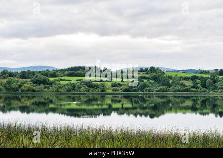 Questa è una foto di un lago ancora in Irlanda campagna. L'acqua è così la vongola è come uno specchio. Ci sono i cigni scorrevolezza da nell'acqua. Foto Stock