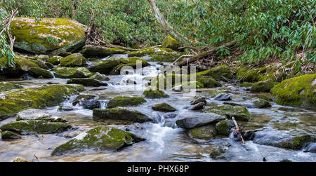 Grande, moss-rocce coperte in un torrente di montagna, confina con la montagna alloro. Foto Stock