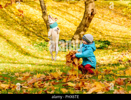 Kid boy godendo di gioco con il suo cane e autunno caduta foglie Foto Stock