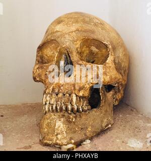 Cranio reale - fotografia prende in un monastero in Spagna (toni di colore giallo) Foto Stock