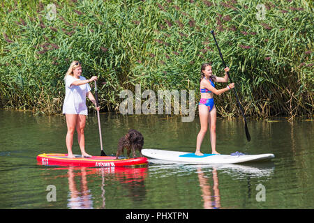 Turkton, Bournemouth, Dorset, Regno Unito. 3 settembre 2018. Tempo in Gran Bretagna: Bella giornata di sole caldo come i visitatori meandri lungo il fiume Stour a Tuckton. Paddleboard per giovani donne con paddleboard per cani su paddleboard - paddleboarder paddle boarder. Credit: Carolyn Jenkins/Alamy Live News Foto Stock