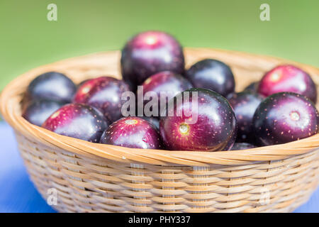 Moscato uve sono anche noti come uve di palude. Essi sono a volte chiamati swan uve in Asian negozi alimentari. Foto Stock
