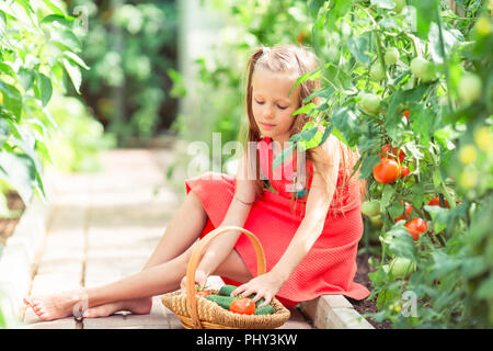 Carino bambina raccoglie il raccolto i cetrioli e i pomodori in serra Foto Stock