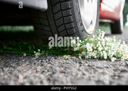 Bouquet di fiori sotto la vettura a ruote, il concetto di un incidente di automobile Foto Stock