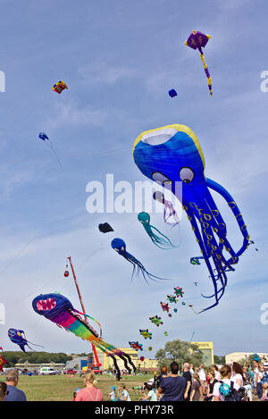 Lemwerder, Germania - Agosto 18th, 2018 - grande aquilone blu a forma di una piovra gigante battenti a Lemwerder Kite Festival Foto Stock