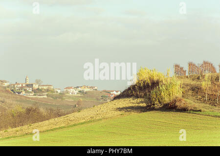 Vista panoramica del fresco raccolte di campi di uva in autunno a valle del Barolo Foto Stock