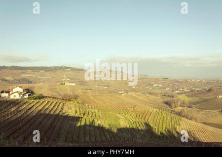 Vista panoramica del fresco raccolte di campi di uva in autunno a valle del Barolo Foto Stock