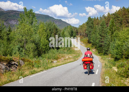 Un ciclista viaggia cavalca un percorso ciclabile lungo la panoramica strada della foresta nel sud della Norvegia Foto Stock