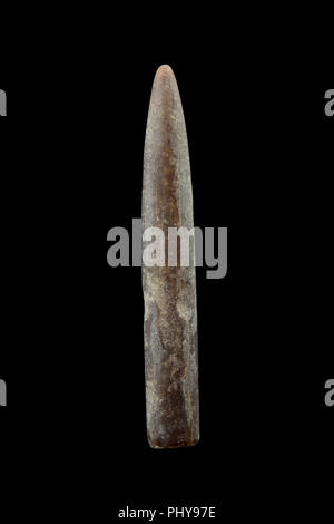 Fossilizzato belemnite guardia, o rostro, che è stato raccolto in prossimità della base del tappo d'oro nei pressi del borgo di Seatown nel Dorset England Regno Unito GB. Belemn Foto Stock