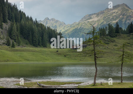 Montagne nella luce della sera, Duisitzkarsee, Lago, Schladminger Tauern, Schladming, Obertal, Stiria, Austria Foto Stock