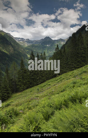 Luce della Sera in montagna, Schladminger Tauern, Obertal, Schladming, Stiria, Austria Foto Stock