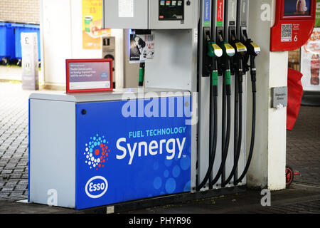 Regno Unito area di servizio Esso le pompe del carburante con 4 scelte di carburante.