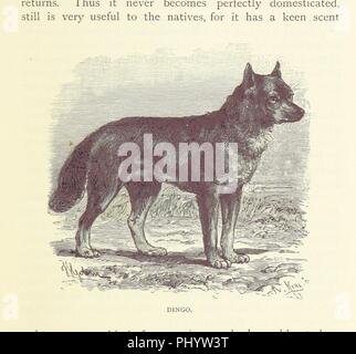 Immagine dalla pagina 241 di 'fra cannibali. Un conto di quattro anni di viaggi in Australia, etc. [Tradotto dal danese.]' . Foto Stock