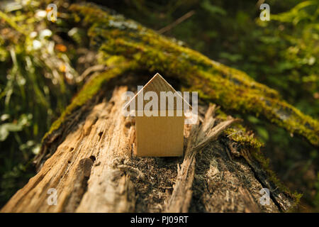 Eco Friendly house concetto, conservazione dell ambiente nozione, Giallo autunno autunno sfondo. casa modello all aperto in un giardino con spazio copia su legno Foto Stock