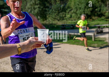 I corridori di afferrare un bicchiere di plastica di acqua durante la 10k l'esecuzione. Foto Stock