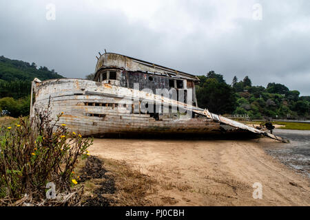 Il punto Reyes abbandonato naufragio lungo la riva di Tomales Bay a Inverness, Point Reyes National Seashore, California. Foto Stock