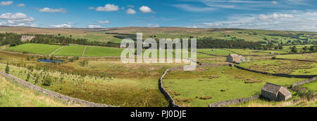 North Pennines AONB paesaggio, a nord-ovest a nord-est di fronte superiore di Teesdale Bowlees a Newbiggin, da Holwick Foto Stock