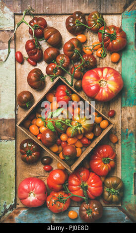 Appartamento -lay di freschi pomodori colorati sul vassoio, composizione verticale Foto Stock