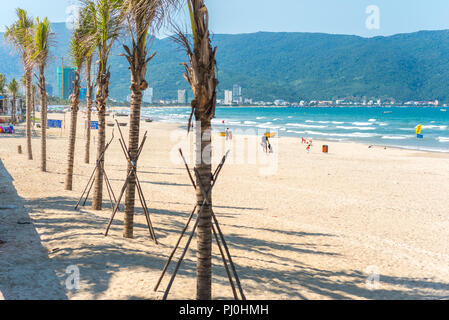 Da Nang, Vietnam - Maggio 7, 2018: una fila di malsana palme giovani lungo il mio Khe Beach. Foto Stock