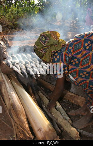 Una donna di indurimento di persico del Nilo di pesci da vendere, dal fumo di loro su un fuoco di legno nel distretto di Masaka, Uganda. Foto Stock