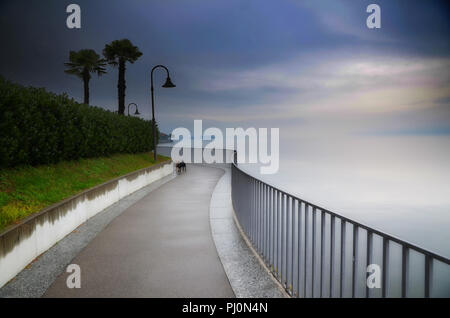 Passeggiata sul lungomare con recinzione in Svizzera. Foto Stock