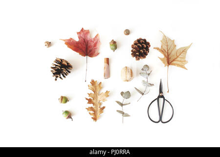 Autunno botanico composizione floreale. Acero, quercia e asciugare le foglie di eucalipto pattern con pigne, dadi e nero siccors vintage bianco su sfondo tabella. Elegante stock photo. Appartamento laico, vista dall'alto. Foto Stock