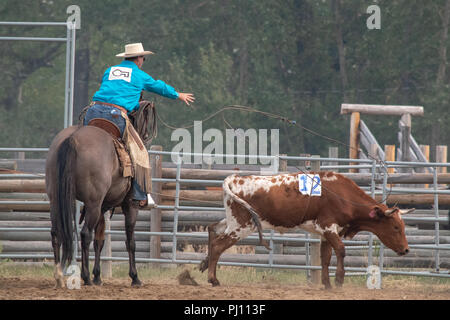 I cowboys competere nel vitello doctoring concorrenza all'annuale ranch ...