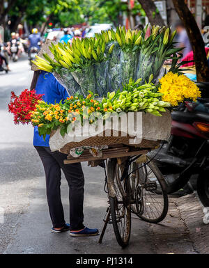 Signora vietnamita che vendono fiori dalla sua bicicletta nel quartiere vecchio di Hanoi. Foto Stock