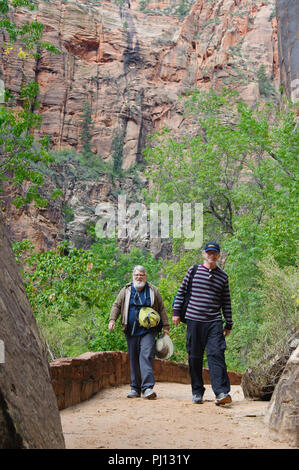 Due uomini anziani escursionismo su un sentiero nel Parco Nazionale di Zion, Utah. Stati Uniti d'America. Foto Stock