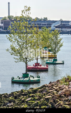 Rotterdam, Olanda, 3 Agosto 2018: vista del porto Rijnhaven con alberi che crescono in boe colorate Foto Stock