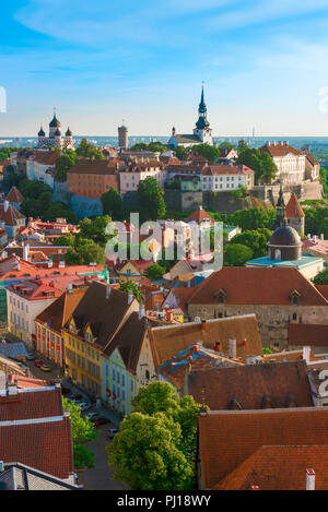 Città vecchia di Tallinn, vista attraverso i tetti panoramici del quartiere medievale della Città Vecchia nel centro della città verso la collina di Toompea, Tallinn, Estonia. Foto Stock